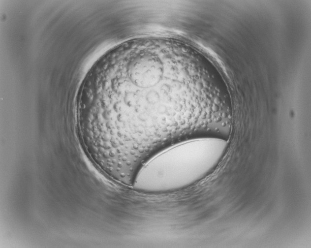 X0000060251479200510280926