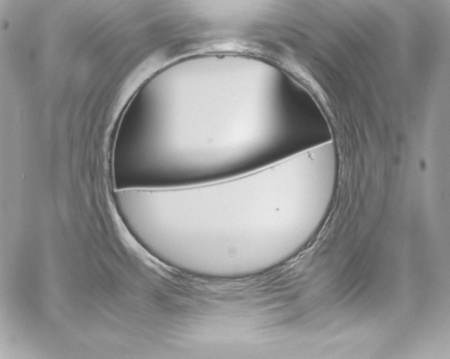 X0000060251483200510280926