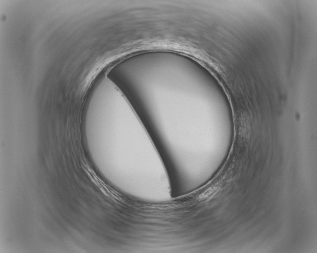 X0000060251499200510280925