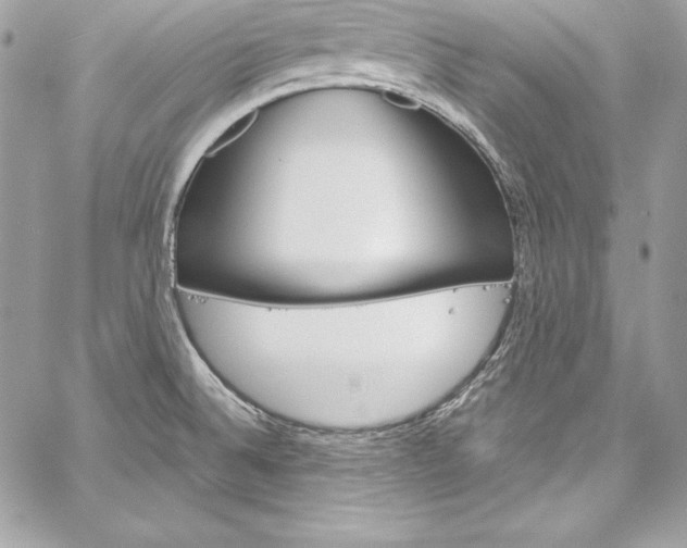X0000060251524200510280925
