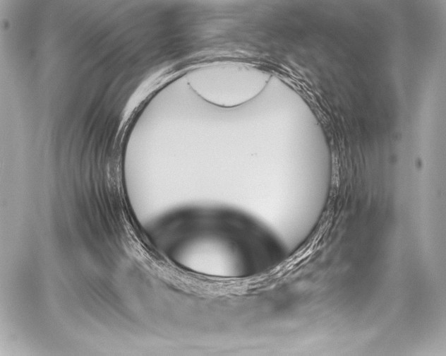 X0000060250004200510281156