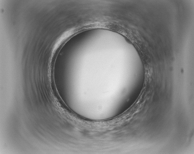 X0000060250006200510281156
