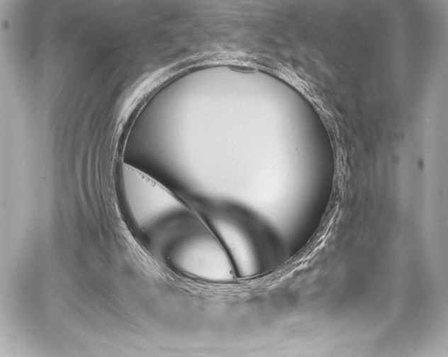 X0000060250007200510281156