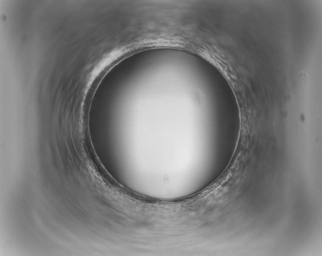 X0000060250008200510281156