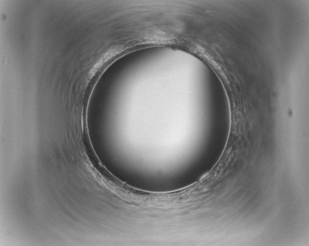 X0000060250011200510281156