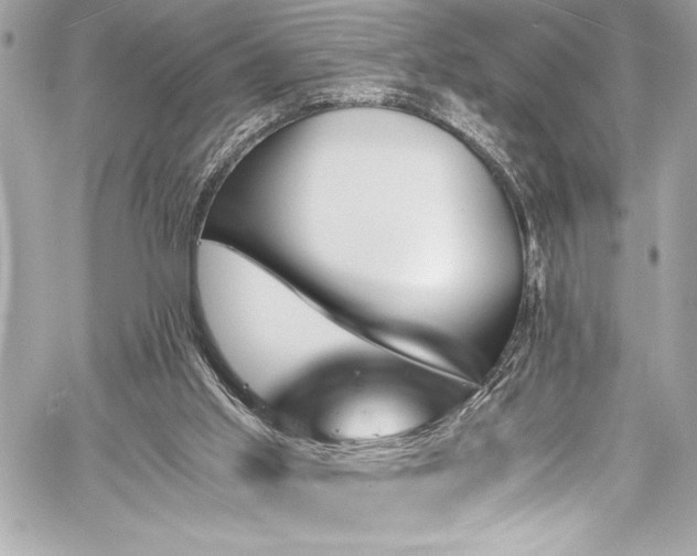 X0000060250013200510281156