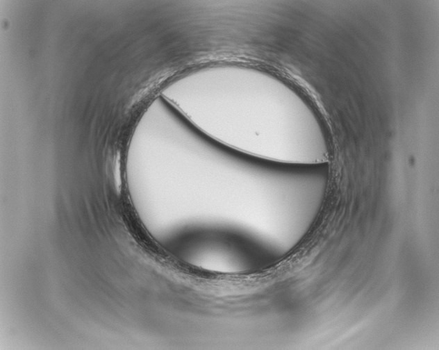 X0000060250020200510281156
