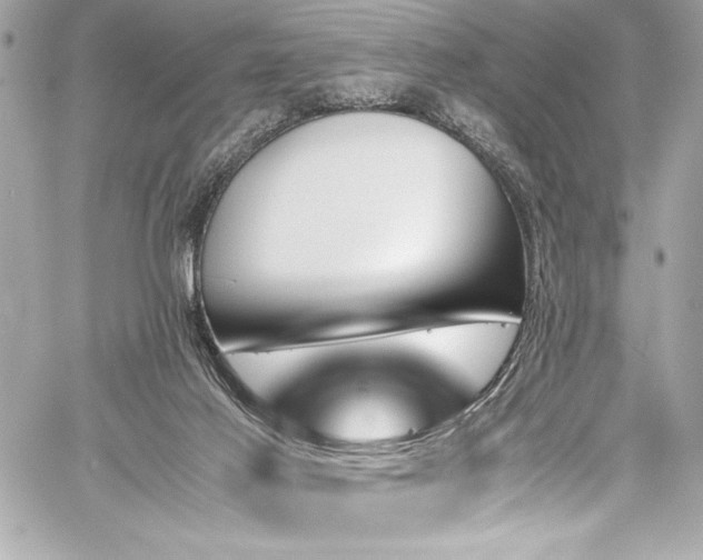X0000060250021200510281156