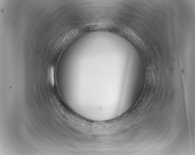 X0000060250022200510281156