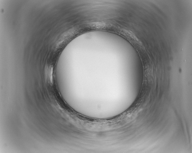 X0000060250024200510281156
