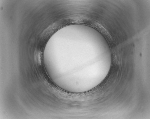 X0000060250026200510281156