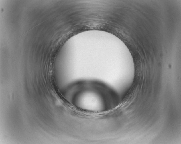 X0000060250040200510281155