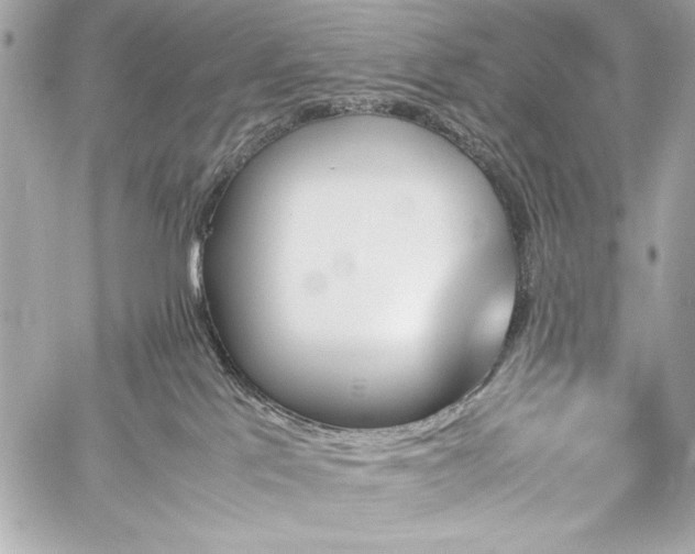 X0000060250041200510281155