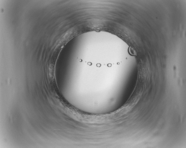 X0000060250044200510281155