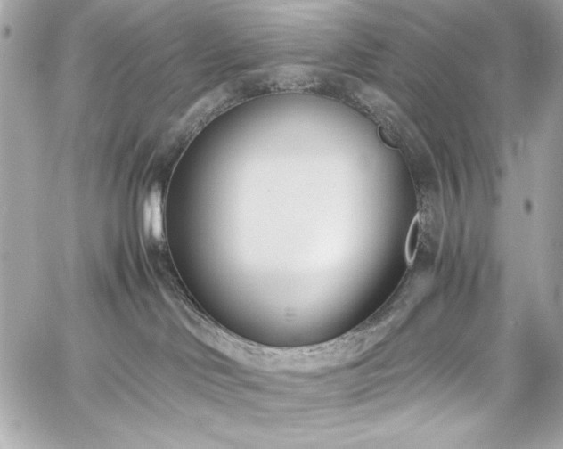 X0000060250046200510281155