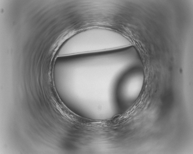 X0000060250050200510281154