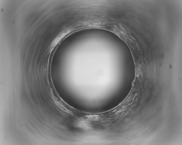 X0000060250052200510281154