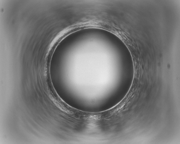 X0000060250056200510281155