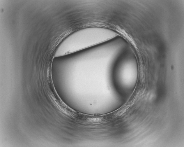 X0000060250057200510281155