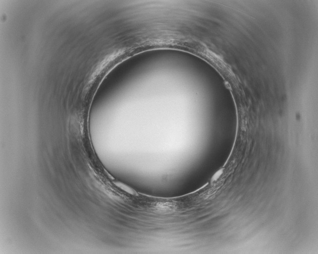 X0000060250060200510281155