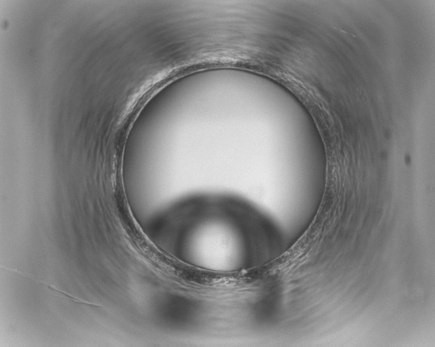 X0000060250064200510281155