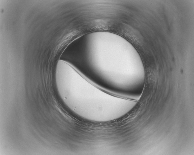 X0000060250072200510281155