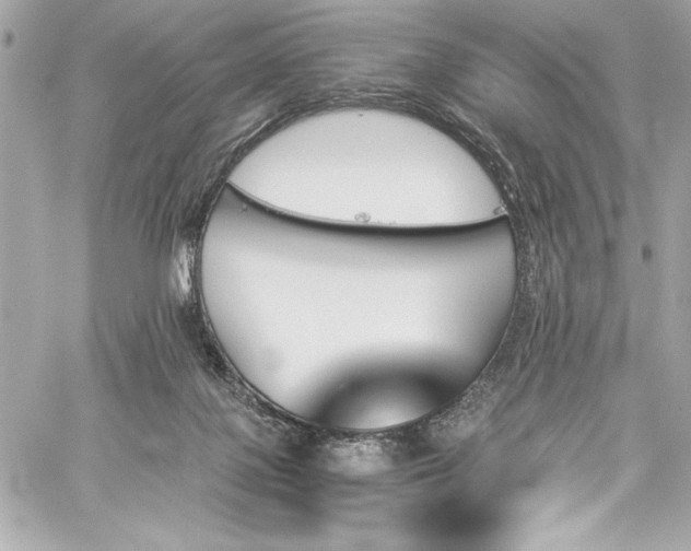 X0000060250075200510281155