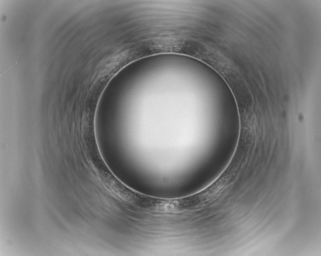 X0000060250080200510281155