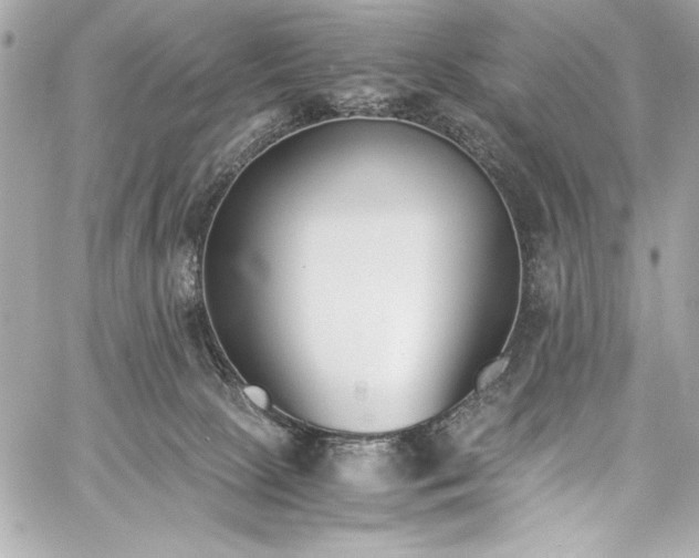 X0000060250081200510281155
