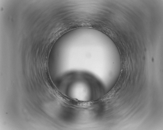 X0000060250084200510281155