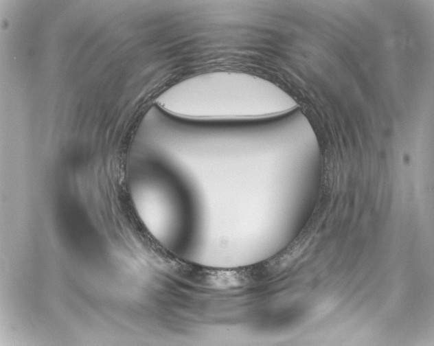 X0000060250091200510281155