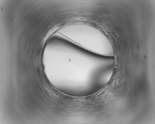 X0000060250099200510281154