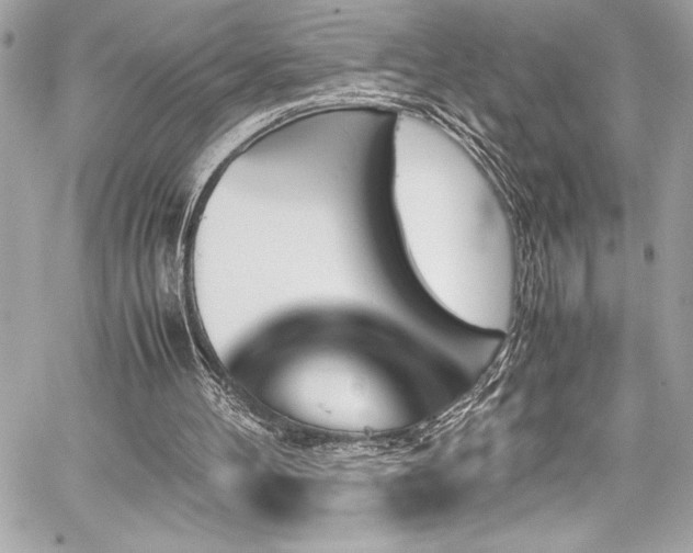 X0000060250100200510281154