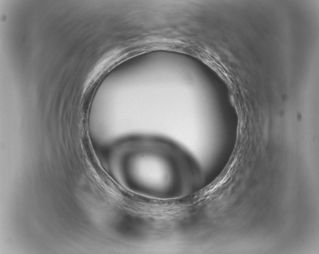 X0000060250101200510281154