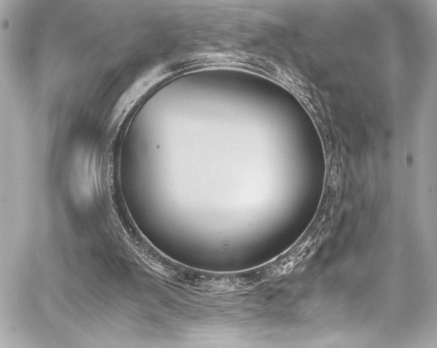X0000060250103200510281154