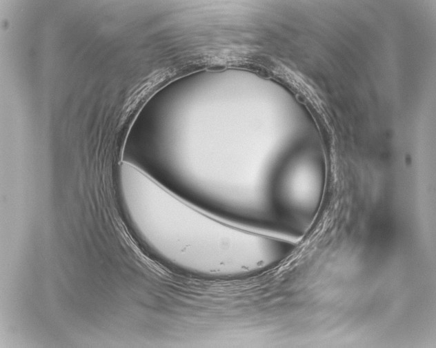 X0000060250105200510281154