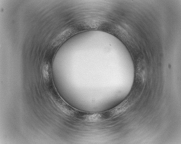 X0000060250122200510281154