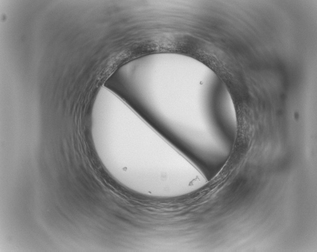 X0000060250123200510281154