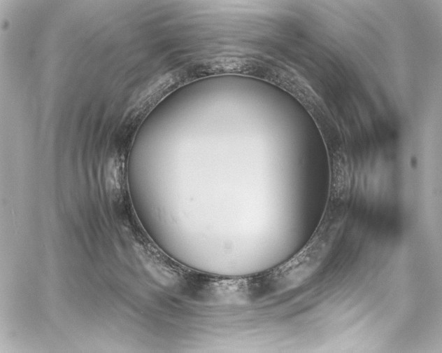 X0000060250126200510281154