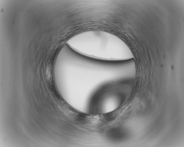 X0000060250131200510281154