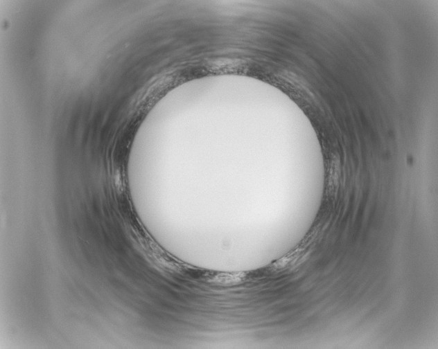 X0000060250138200510281154