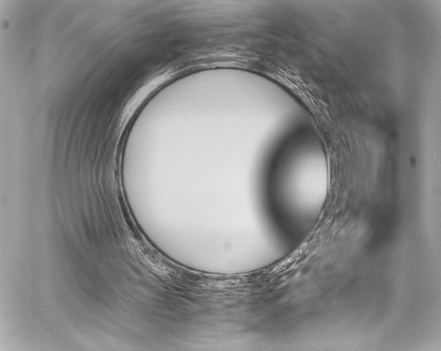 X0000060250147200510281153