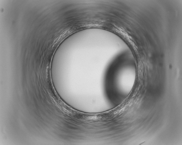 X0000060250153200510281153