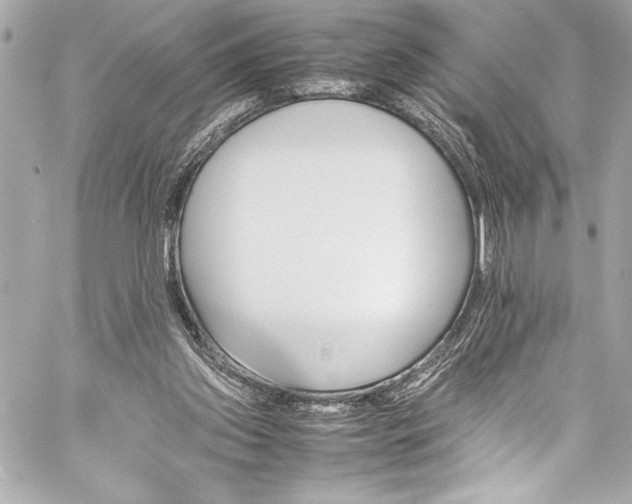 X0000060250157200510281153