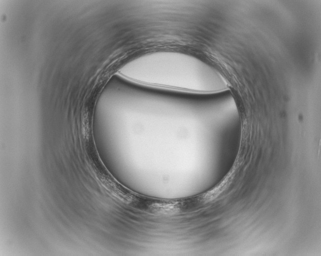 X0000060250170200510281153