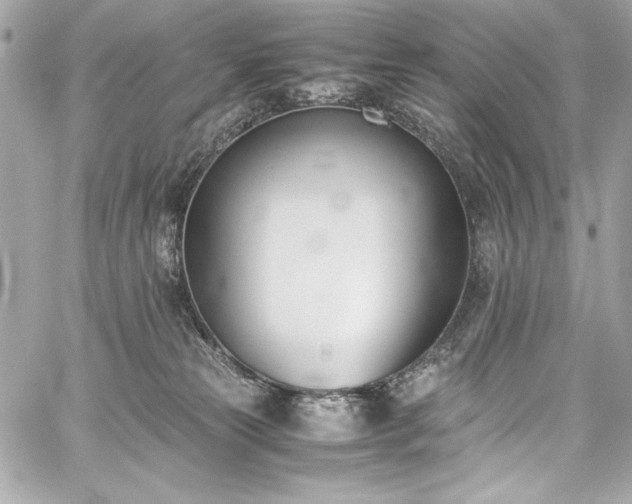 X0000060250181200510281153