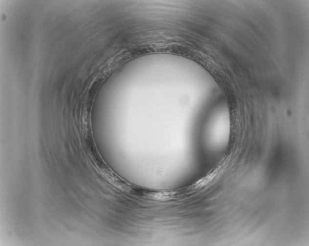 X0000060250184200510281154