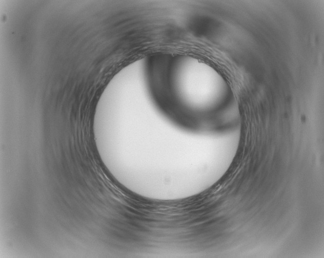 X0000060250185200510281154