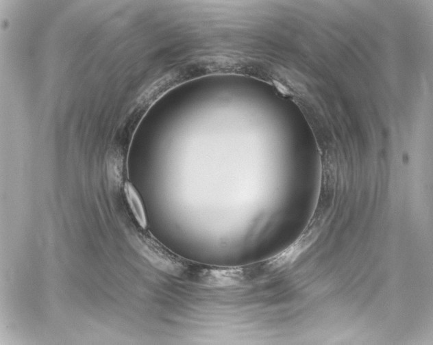 X0000060250188200510281154
