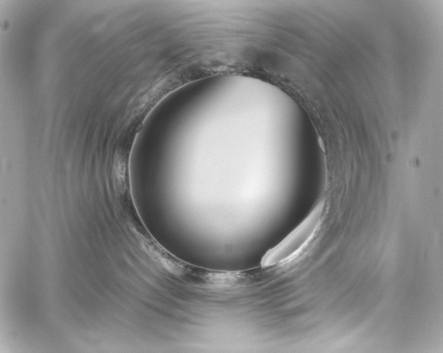X0000060250192200510281154